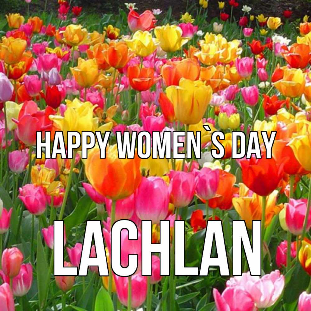 Greetings card с именем, Lachlan happy women`s day на международный женский день Greetings with text for free download 